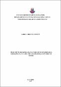 Imagem de Miniatura
